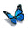 InFusion Glass Ashes in Glass Cremation Jewelry Art
